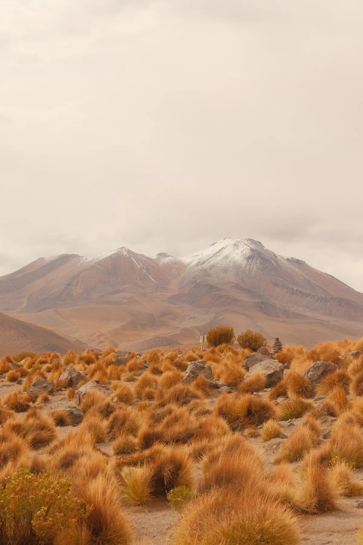 The Andes from the Bolivian high plateau