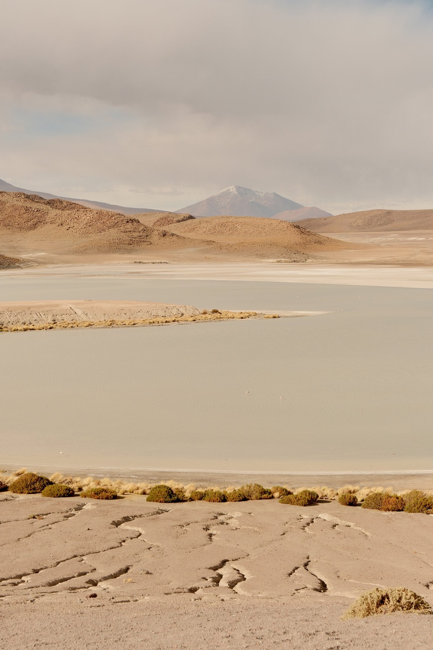 An altiplano lagoon before the descent to the salar