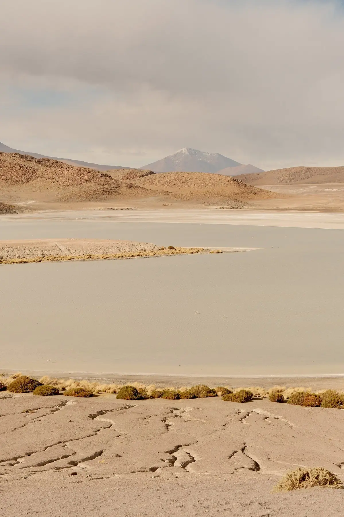 An altiplano lagoon before the descent to the salar
