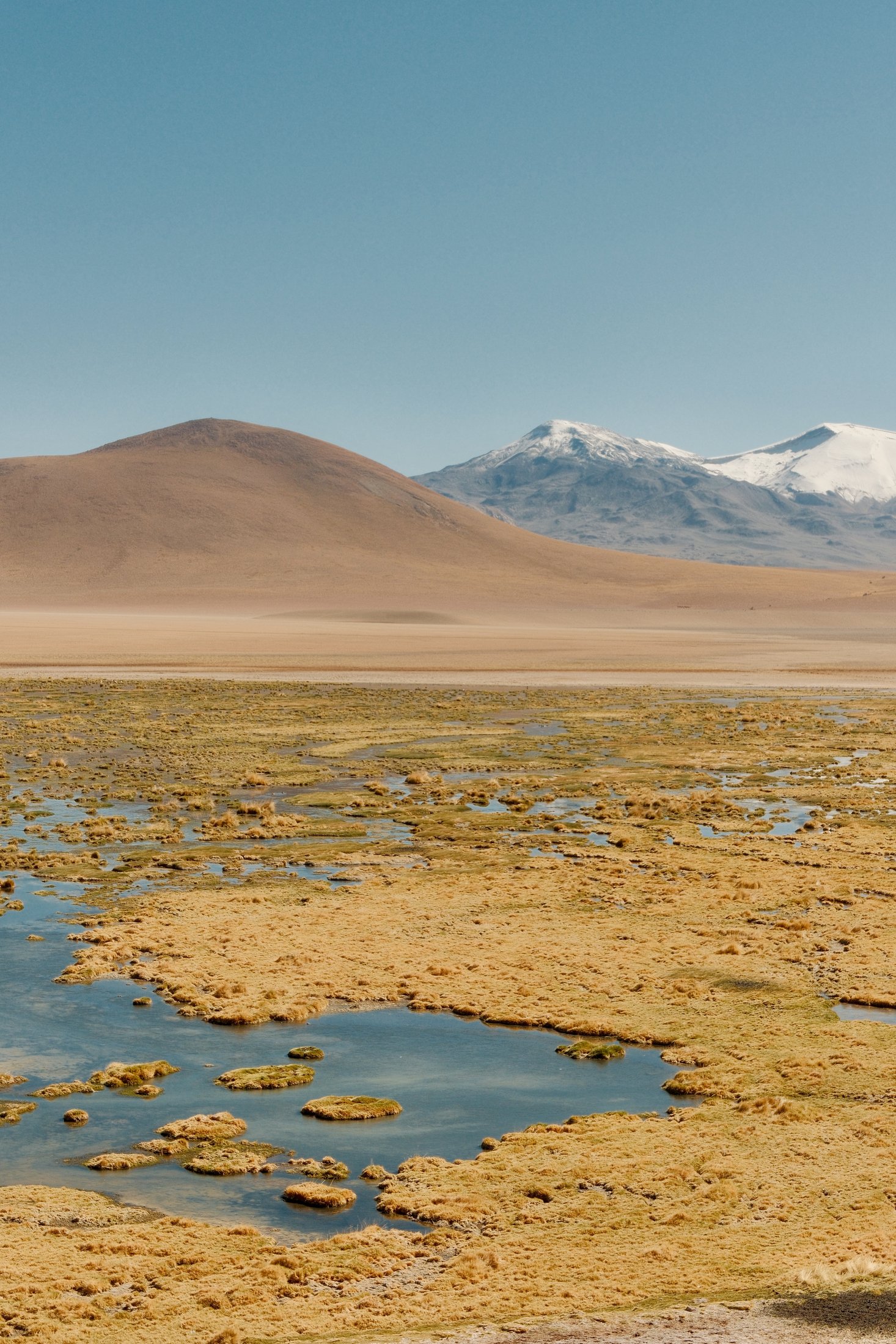 An altiplano sister lagoon along the day's route