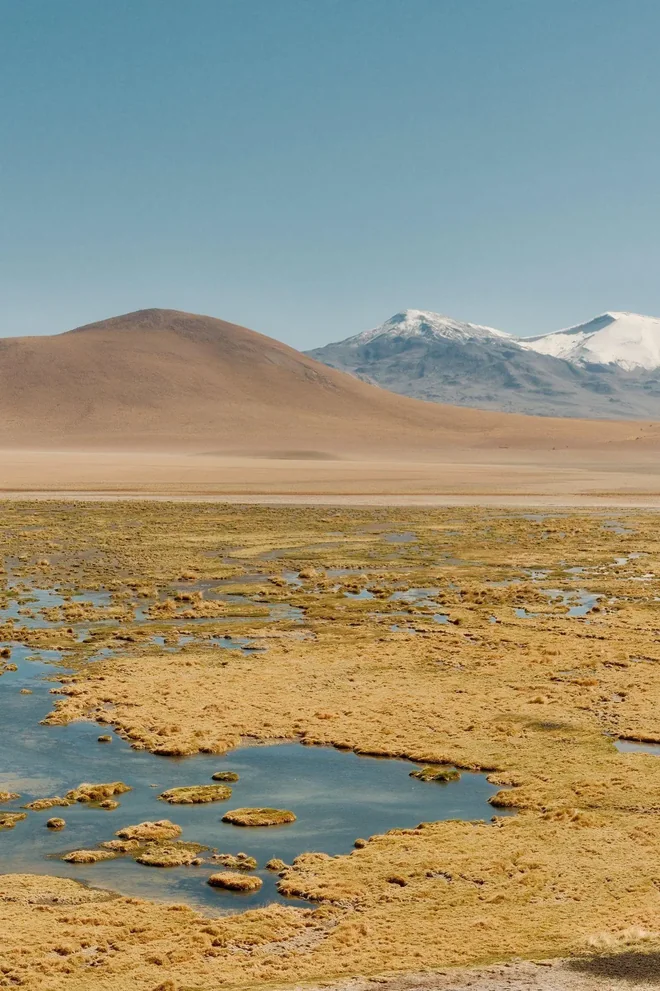 An altiplano sister lagoon along the day's route