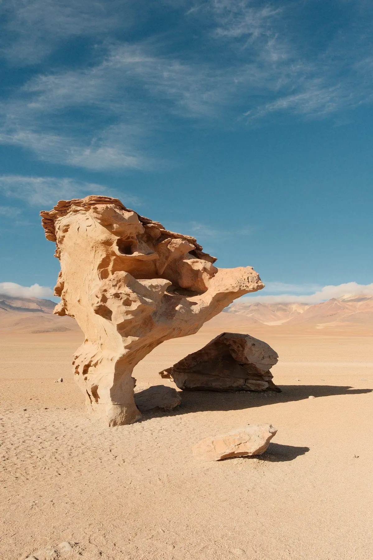 Árbol de Piedra, the Stone Tree of the Siloli Desert