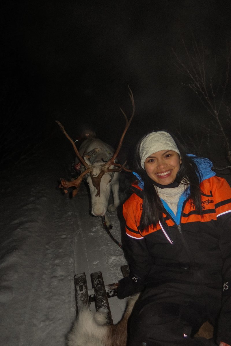 JB on a reindeer sleigh ride