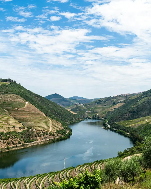 The Douro River between terraced vineyards
