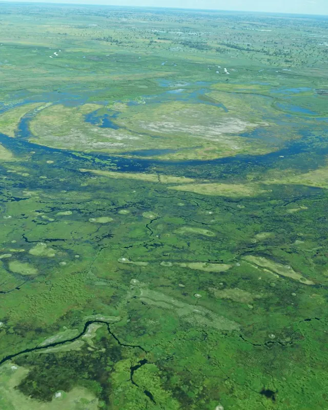 Channels winding through the Okavango Delta from the air