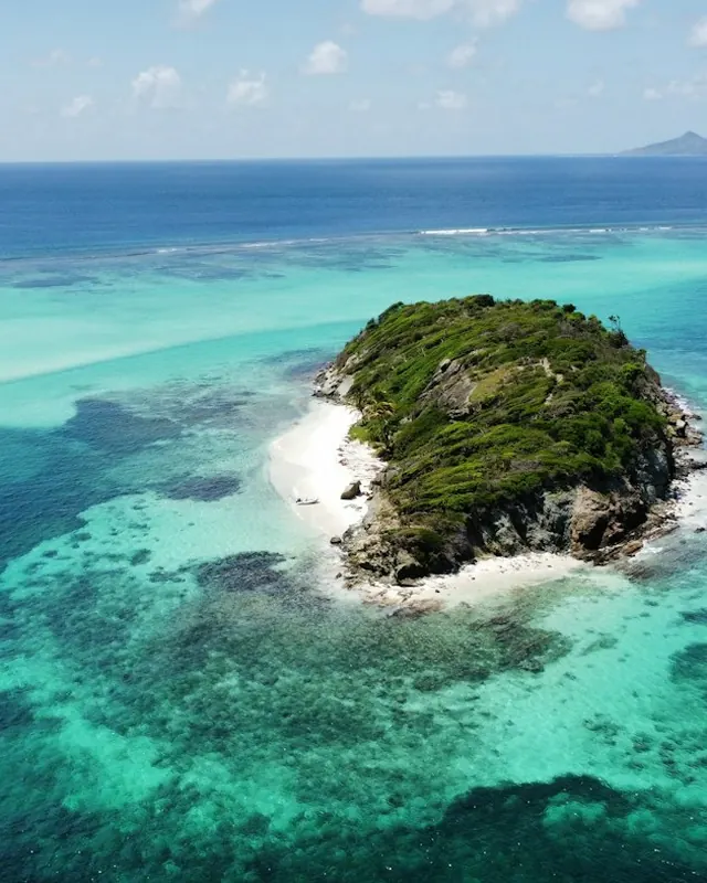Aerial view of Jamesby island in the Tobago Cays